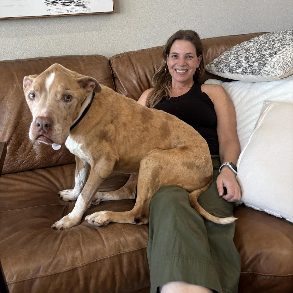 Golly — thumbnail 4