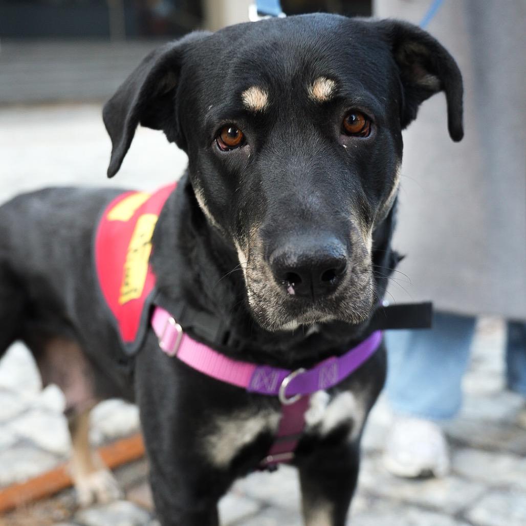 Nico Hischier thumbnail 2