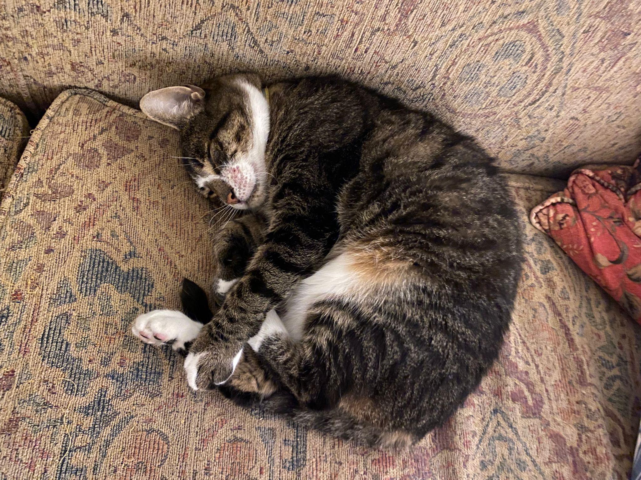 Lydia — thumbnail 2