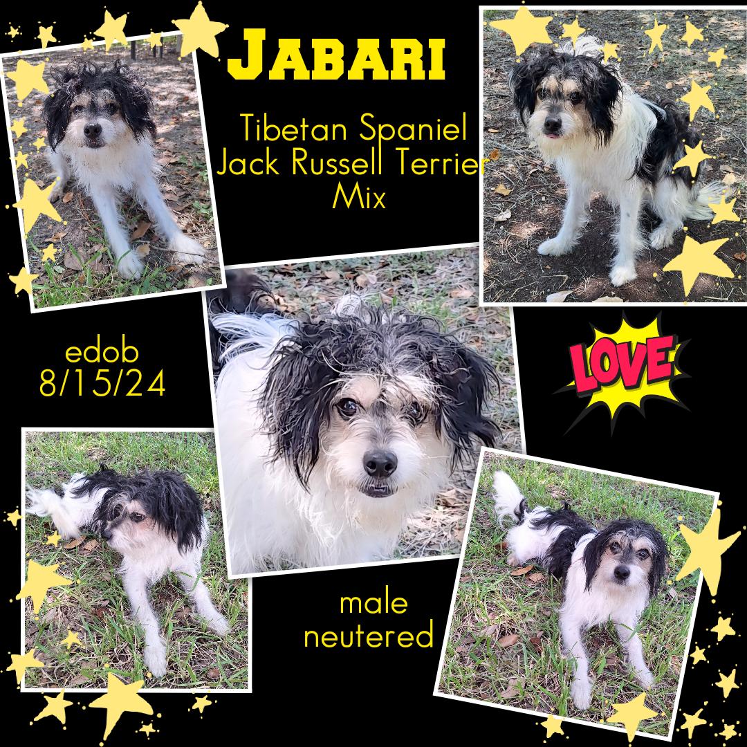 Jabari Wat thumbnail 4