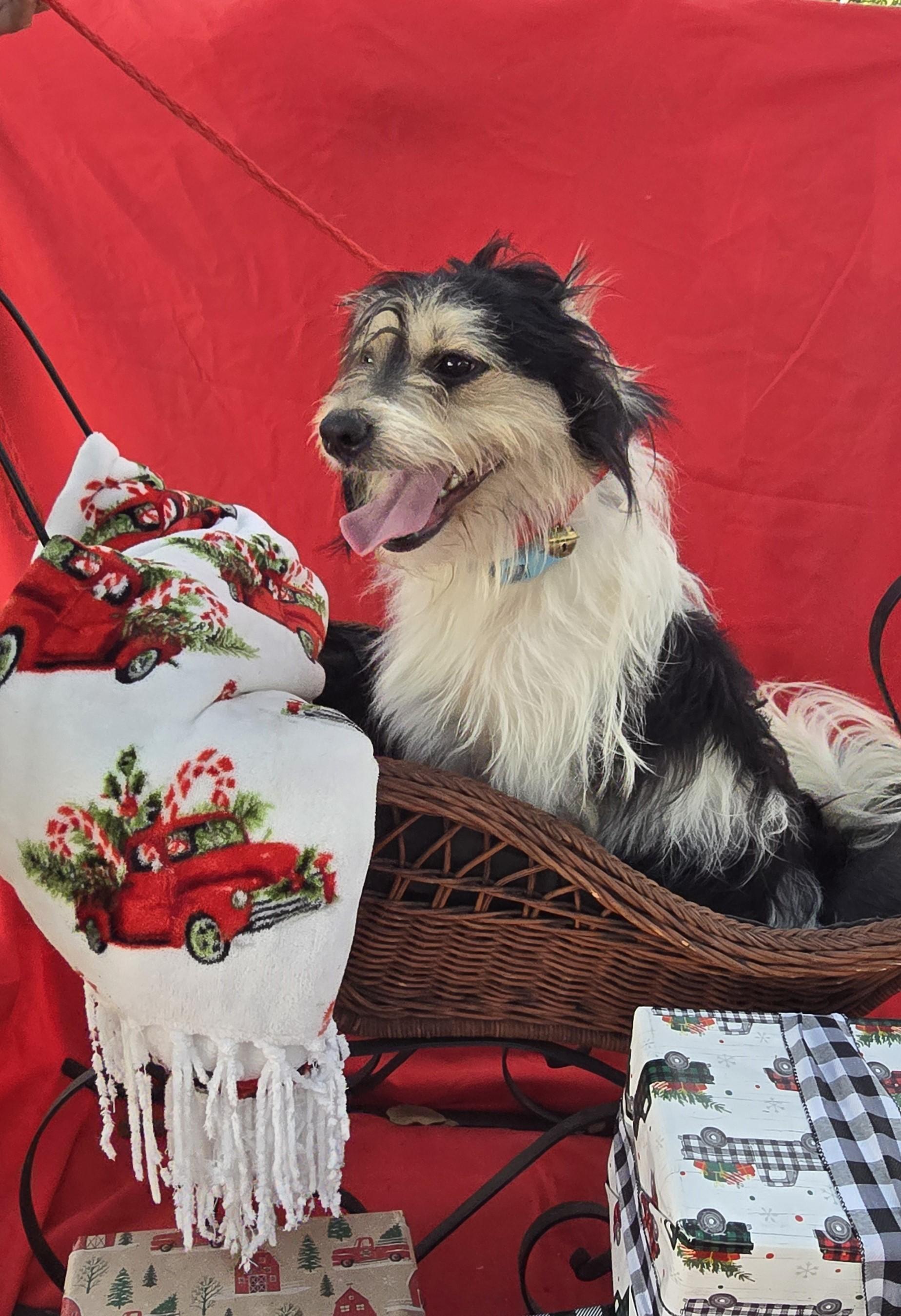 Jabari Wat thumbnail 7