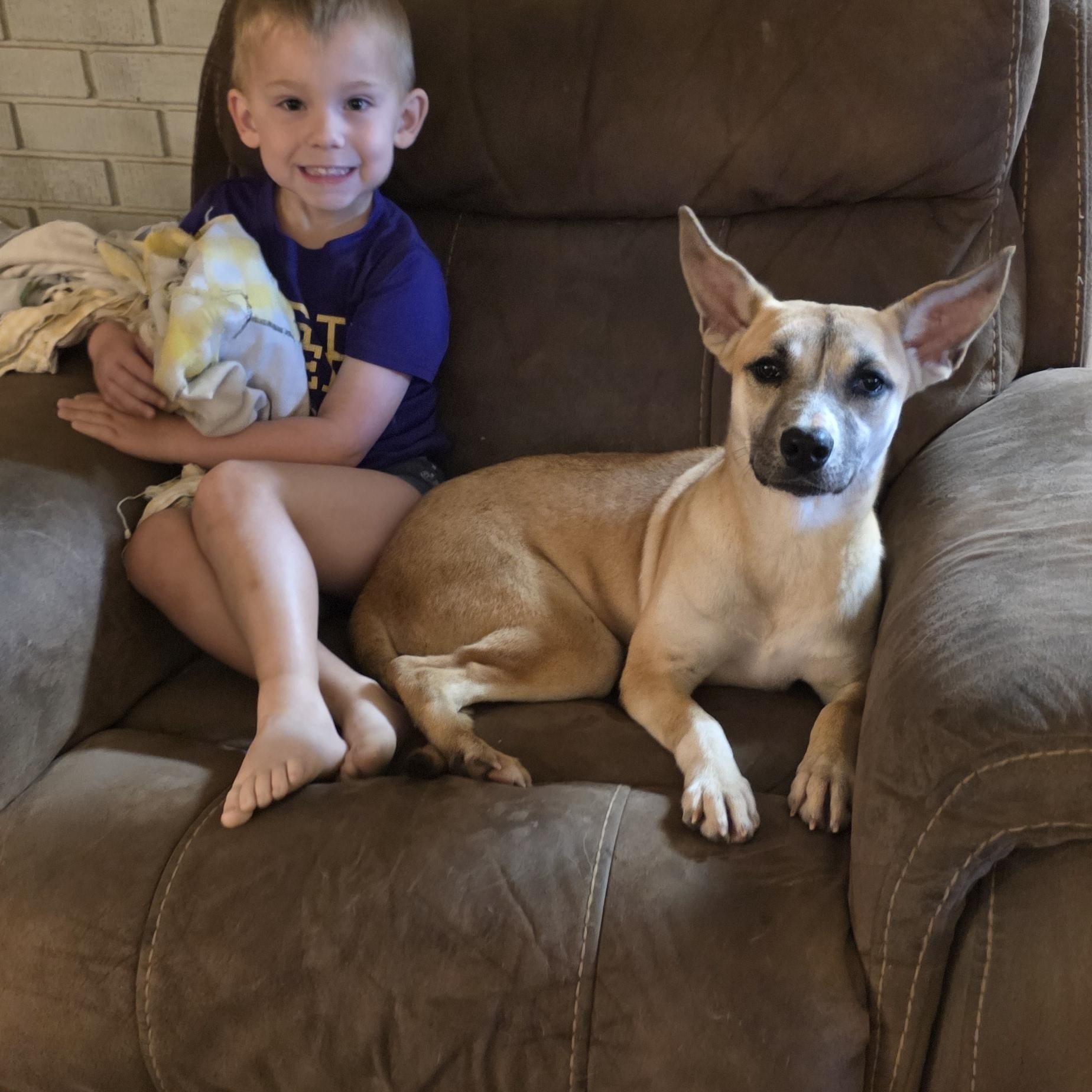 Enlarge Grace, a ADOPTABLE mixed breed in Baker, LA image 2/4