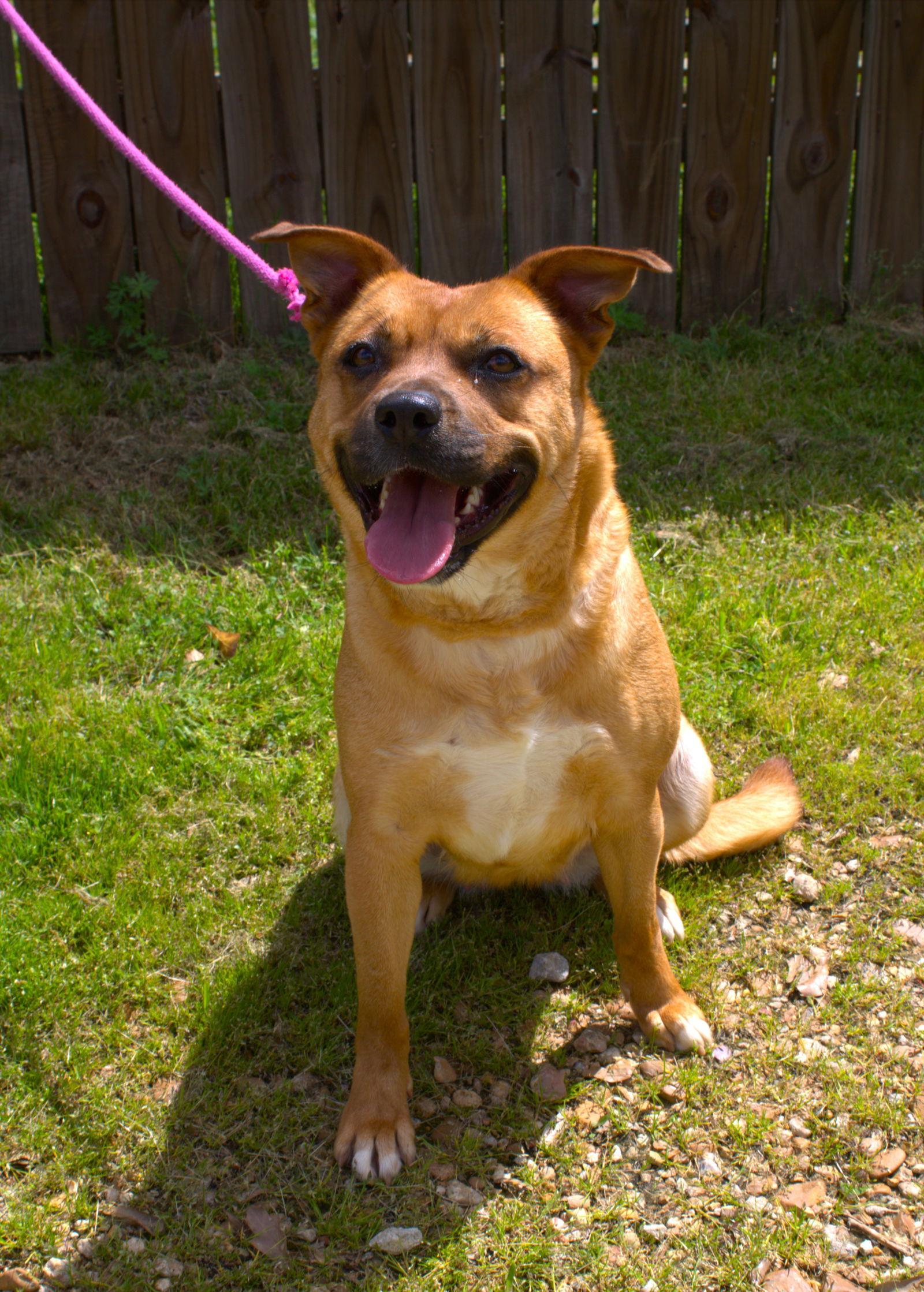 Alice In Chains — thumbnail 2