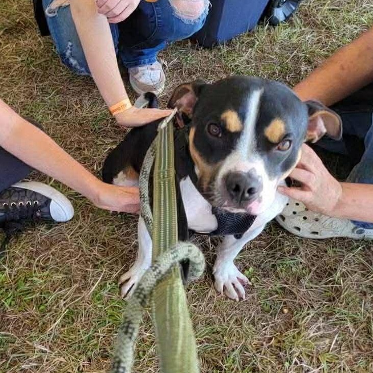 Roger- in foster home