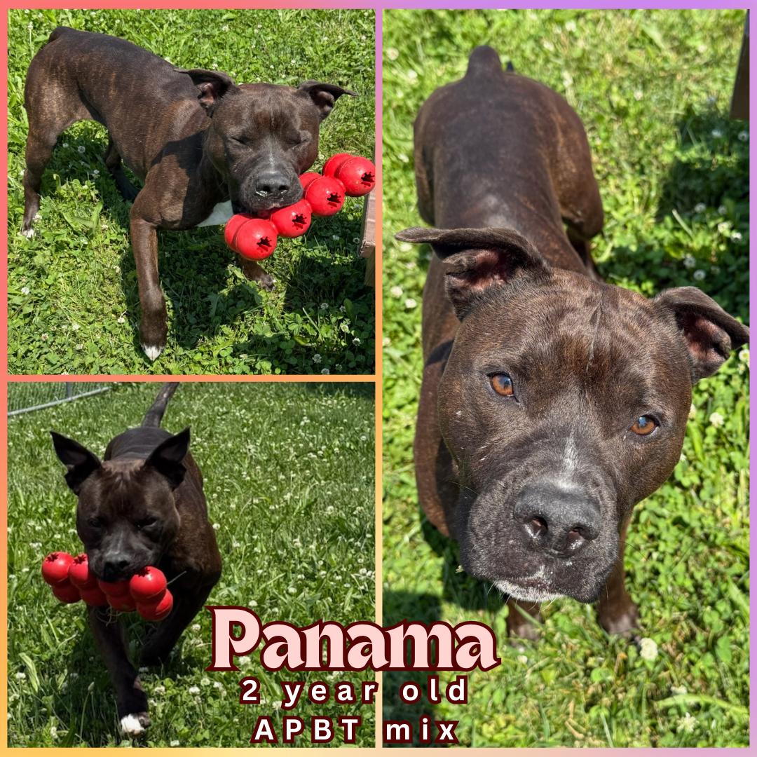 Panama