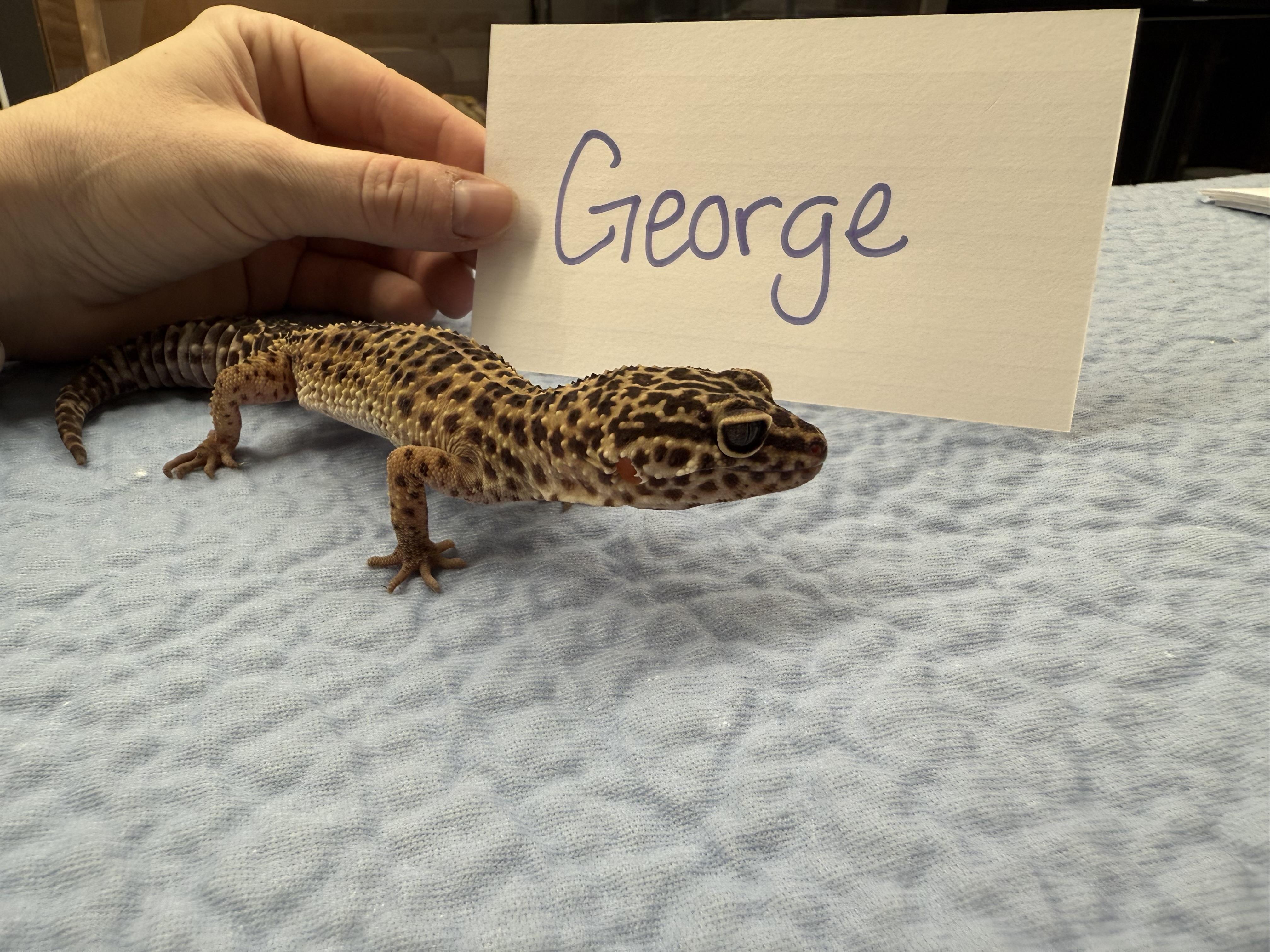 George 3
