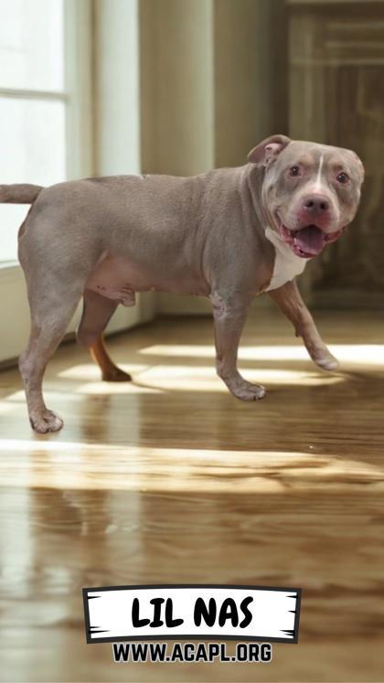 Lil Nas
