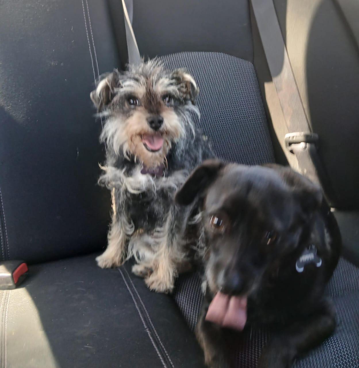 Nina And Pepper thumbnail 3