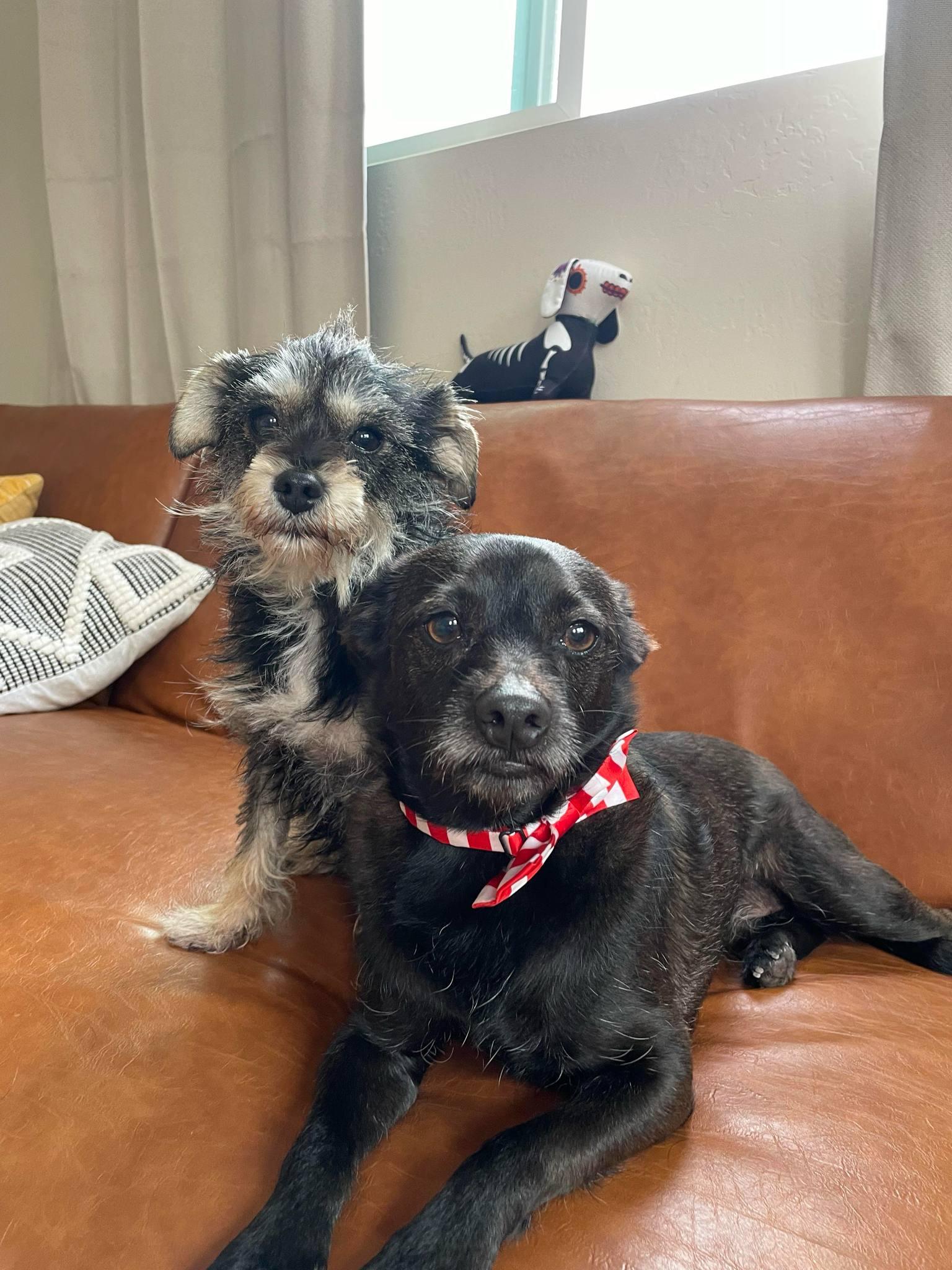 Nina And Pepper thumbnail 4