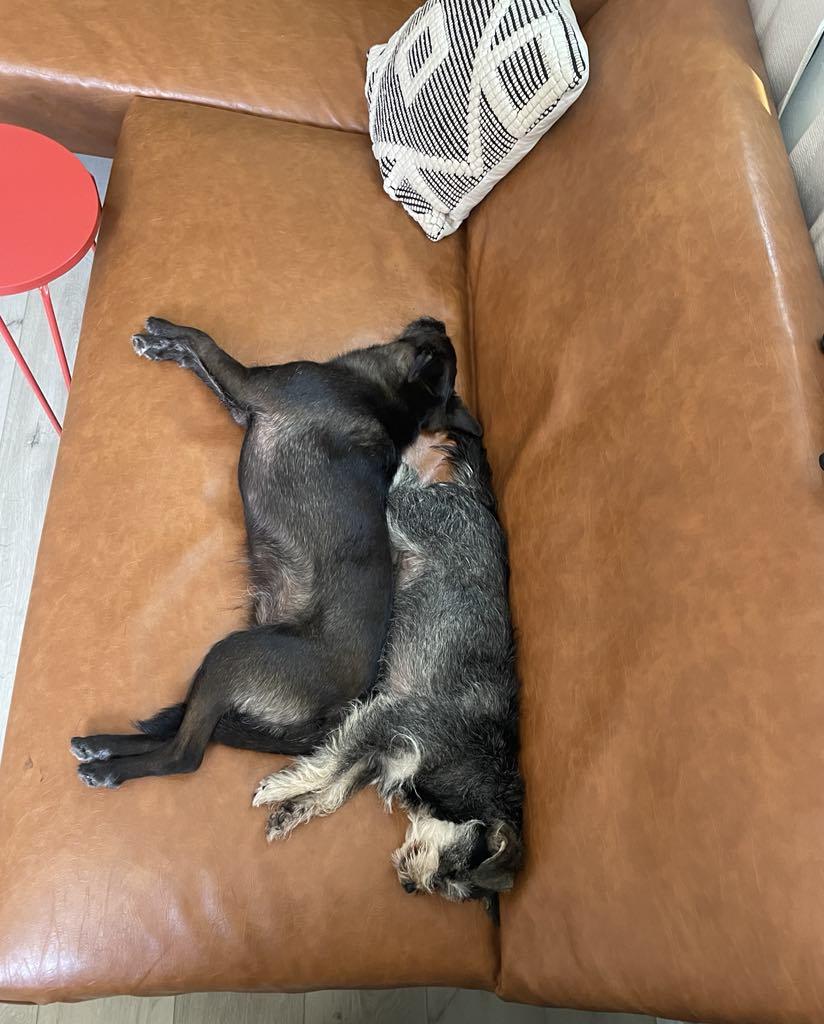 Nina And Pepper thumbnail 5