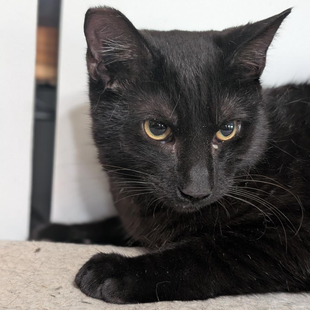 Indiana — thumbnail 2