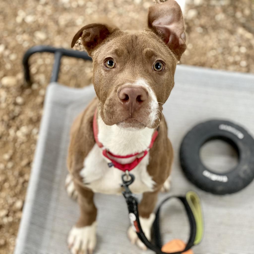 Fudgsicle — thumbnail 2