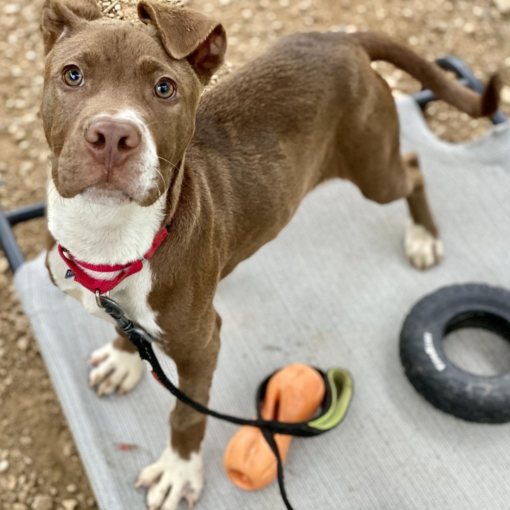 Fudgsicle — thumbnail 4