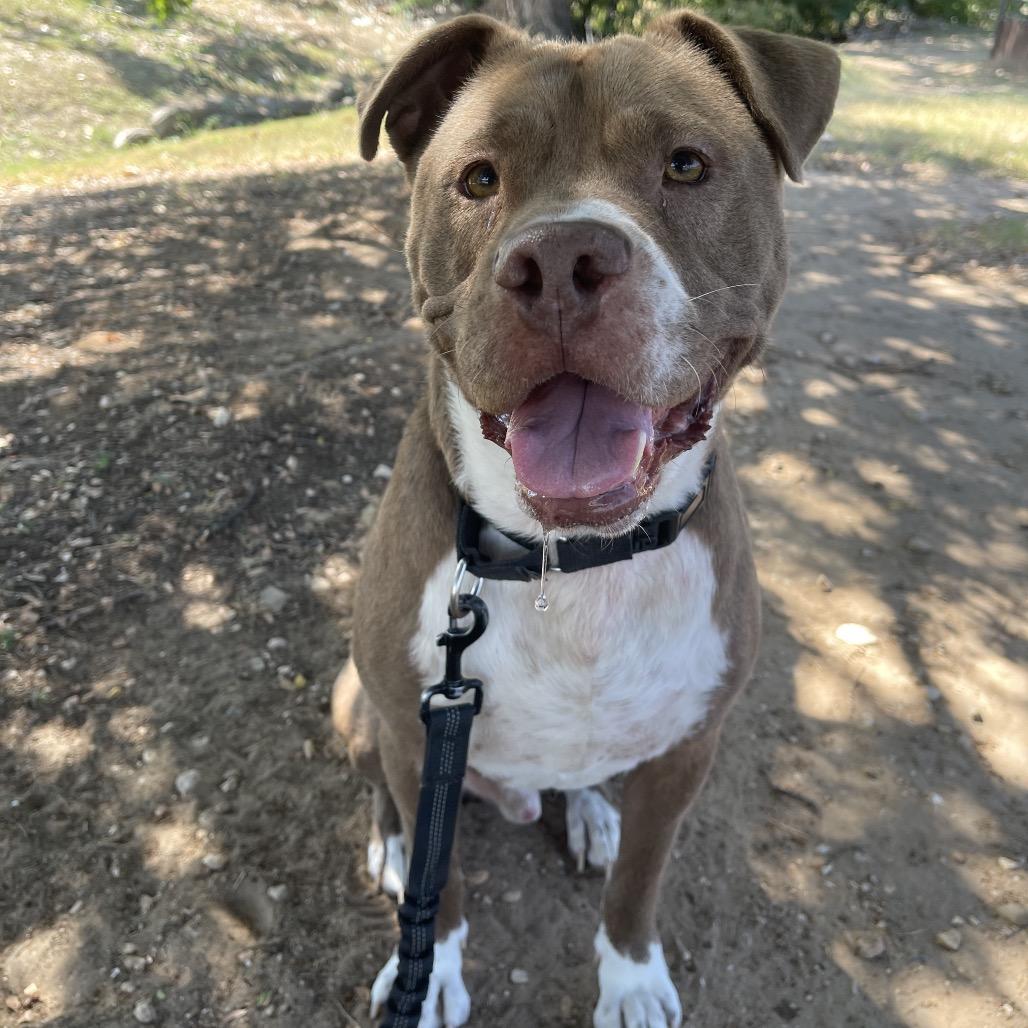 Fudgsicle — thumbnail 5