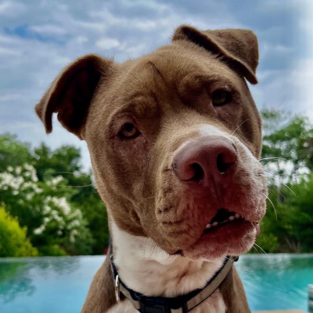 Fudgsicle — thumbnail 6