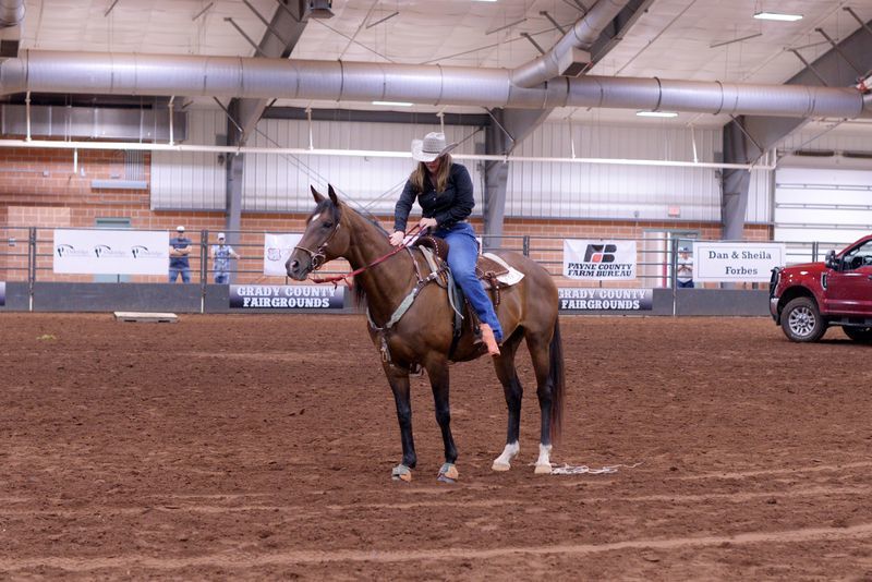 Amy Namey, Adopted, Adult Female Thoroughbred.