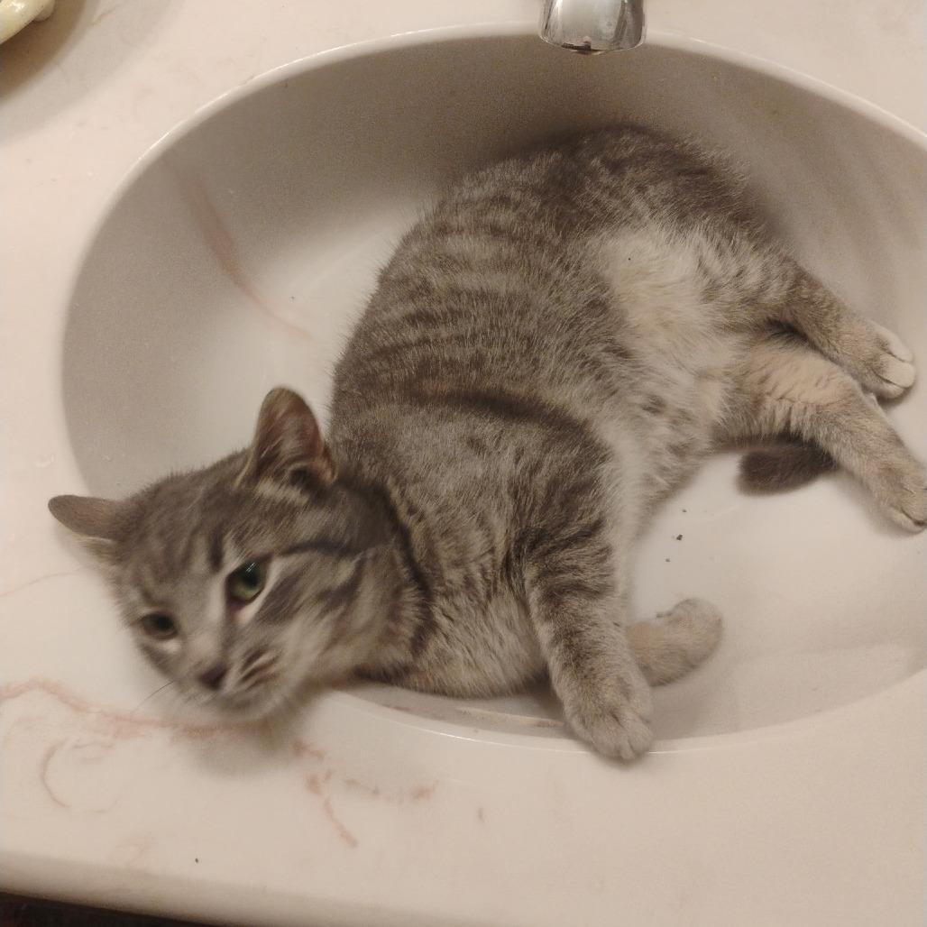 Kristoff — thumbnail 2