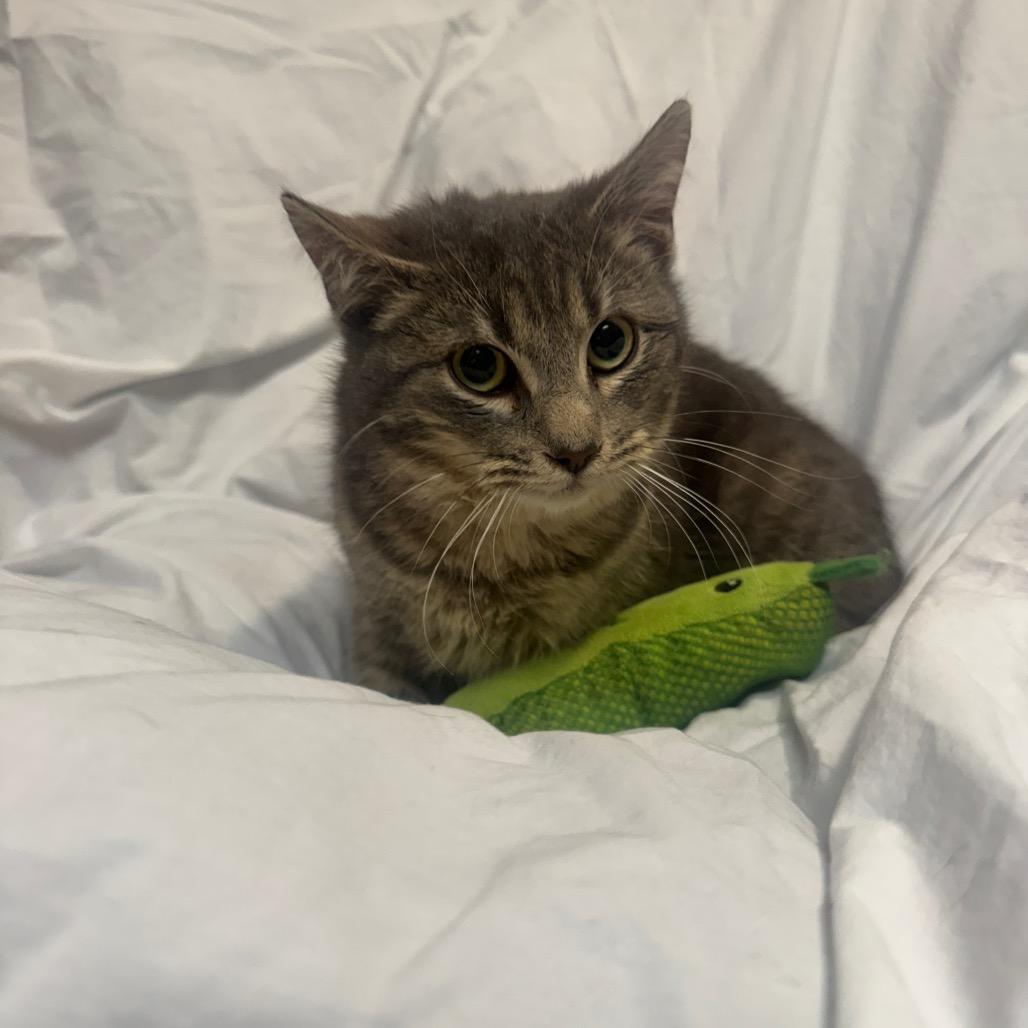 Kristoff — thumbnail 6