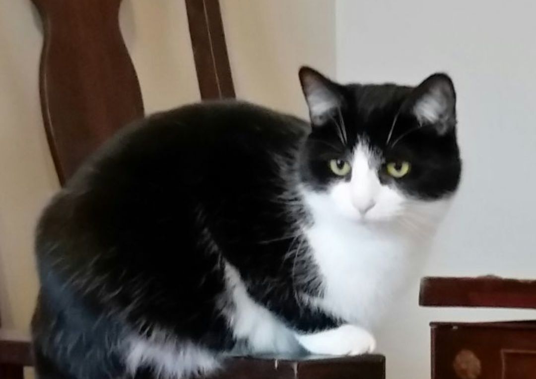 Beauty B thumbnail 6