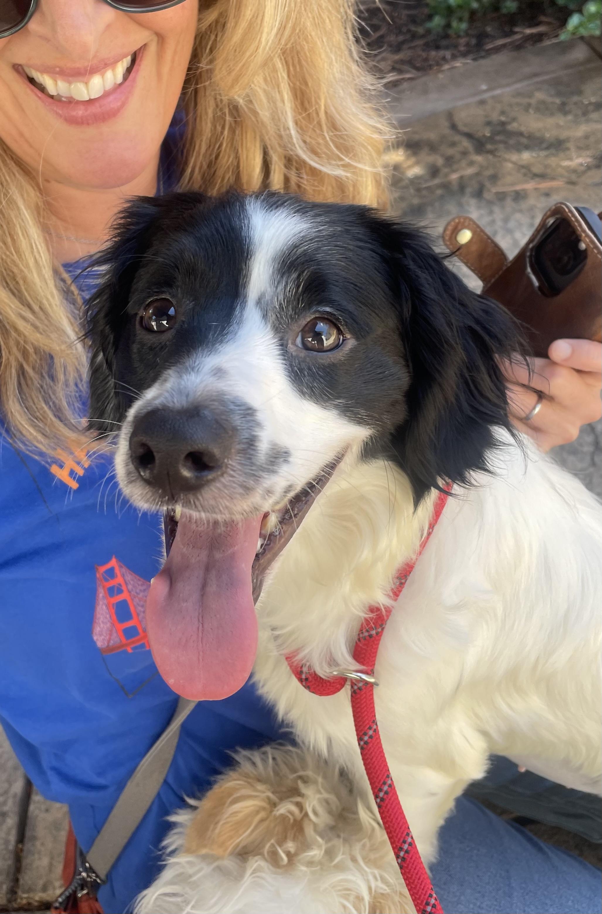 Enlarge Abby, a Adoptable mixed breed in Oakland, CA image 2/4