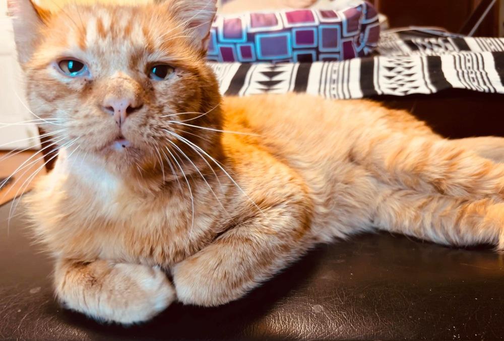 Olympia — thumbnail 5