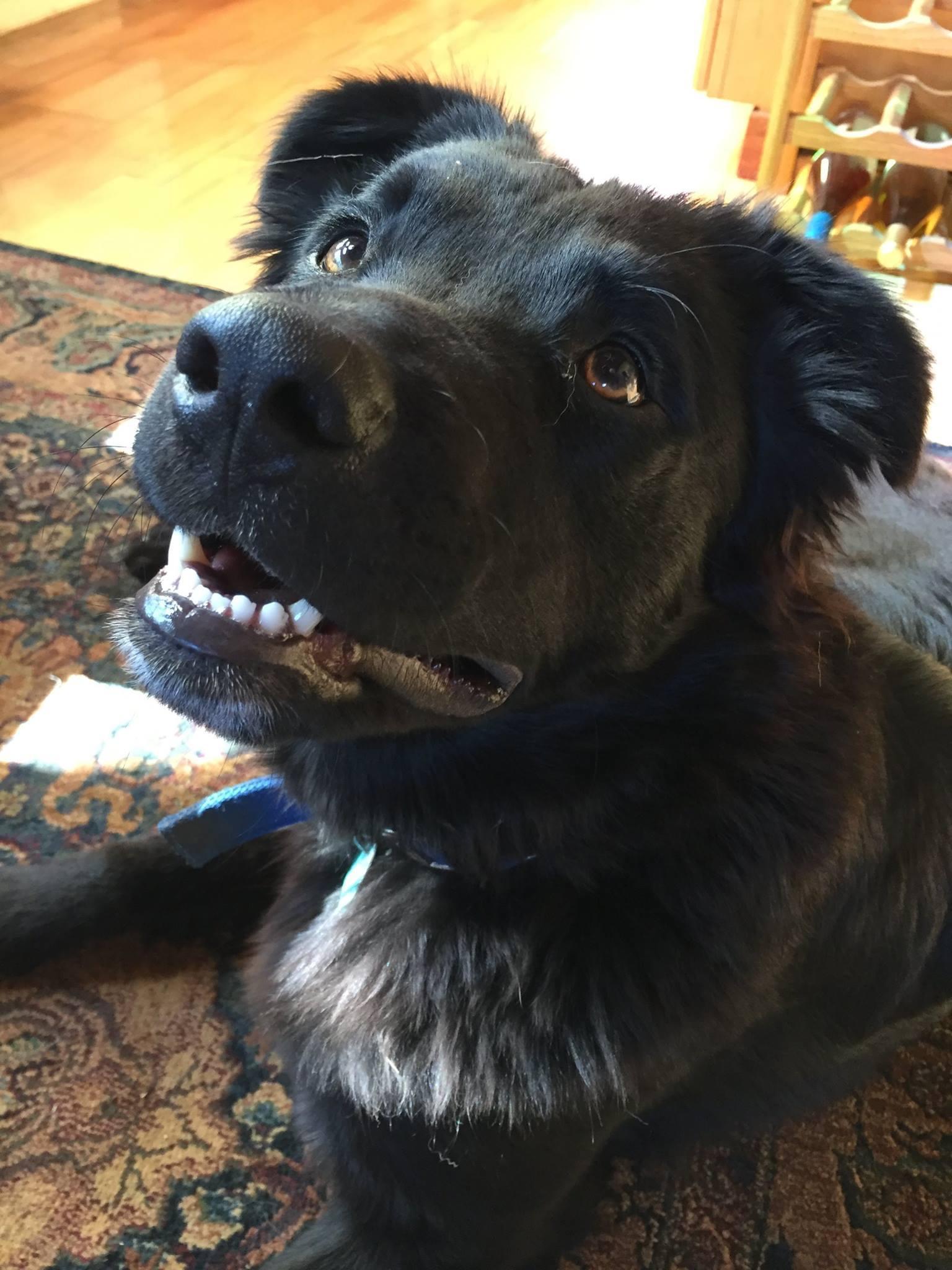 Schwartz (Courtesy Post)