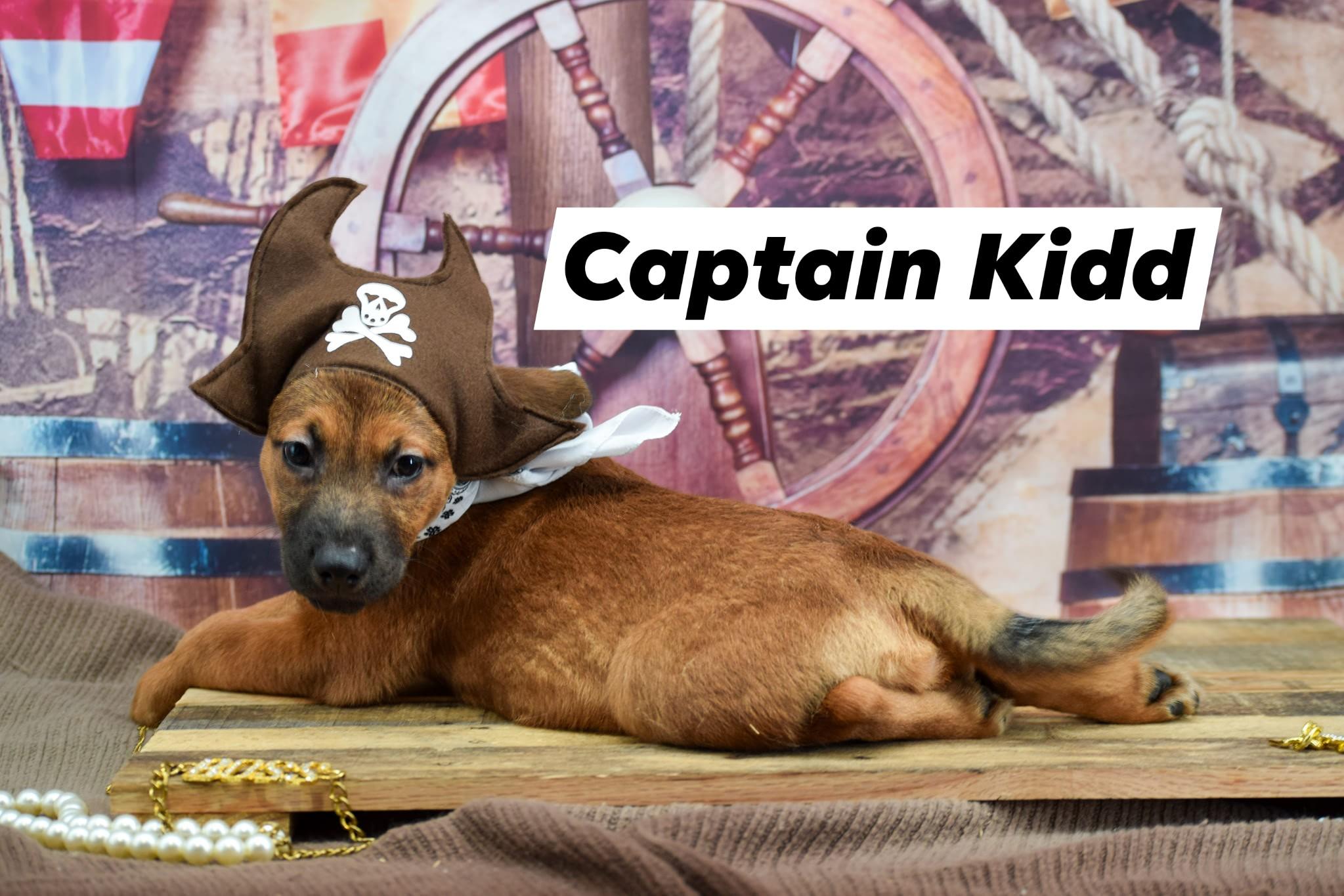 Captain Kidd