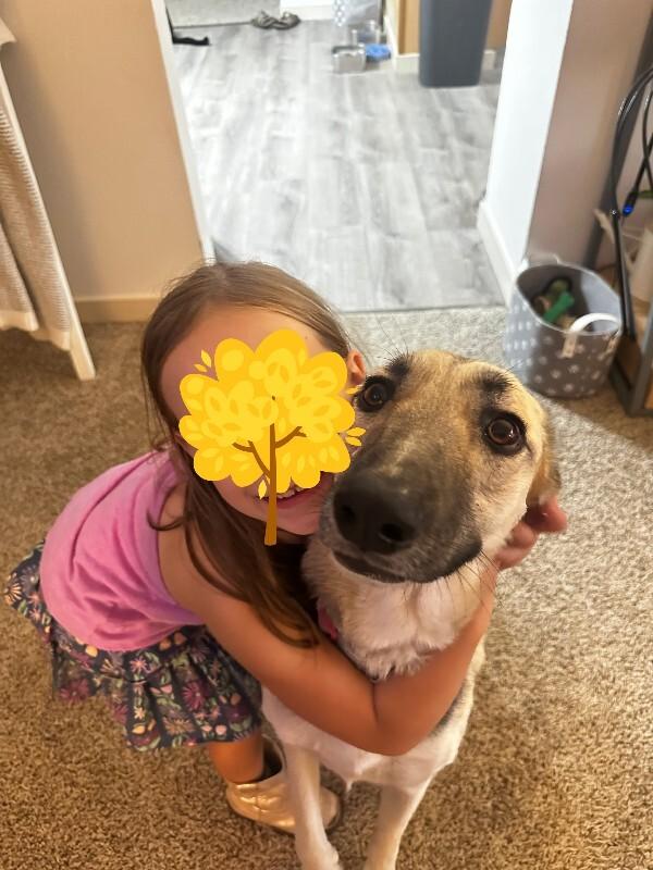 Enlarge Daisy, a Adoptable mixed breed in North Bend, WA image 3/5
