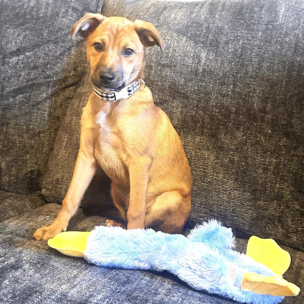 Fern's Snickers thumbnail 5