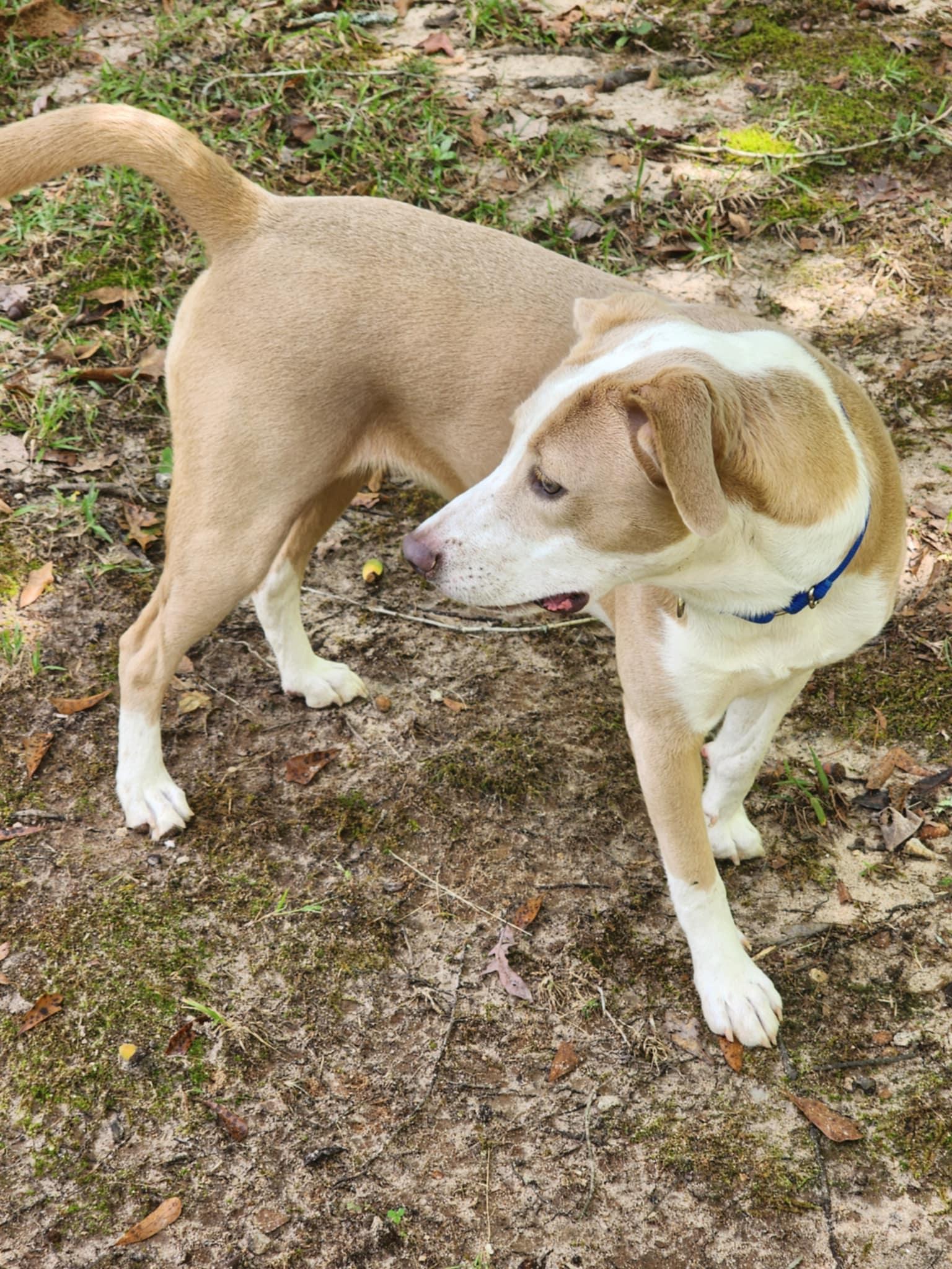 Gretchen thumbnail 2