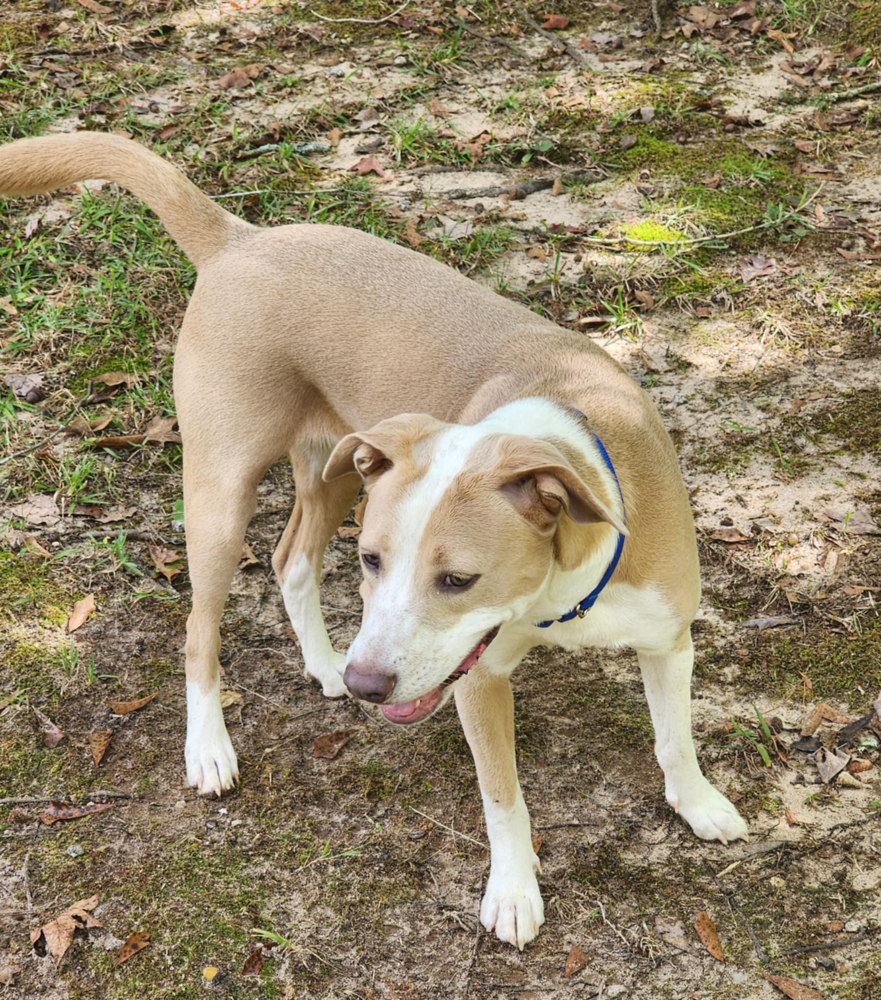 Gretchen thumbnail 3