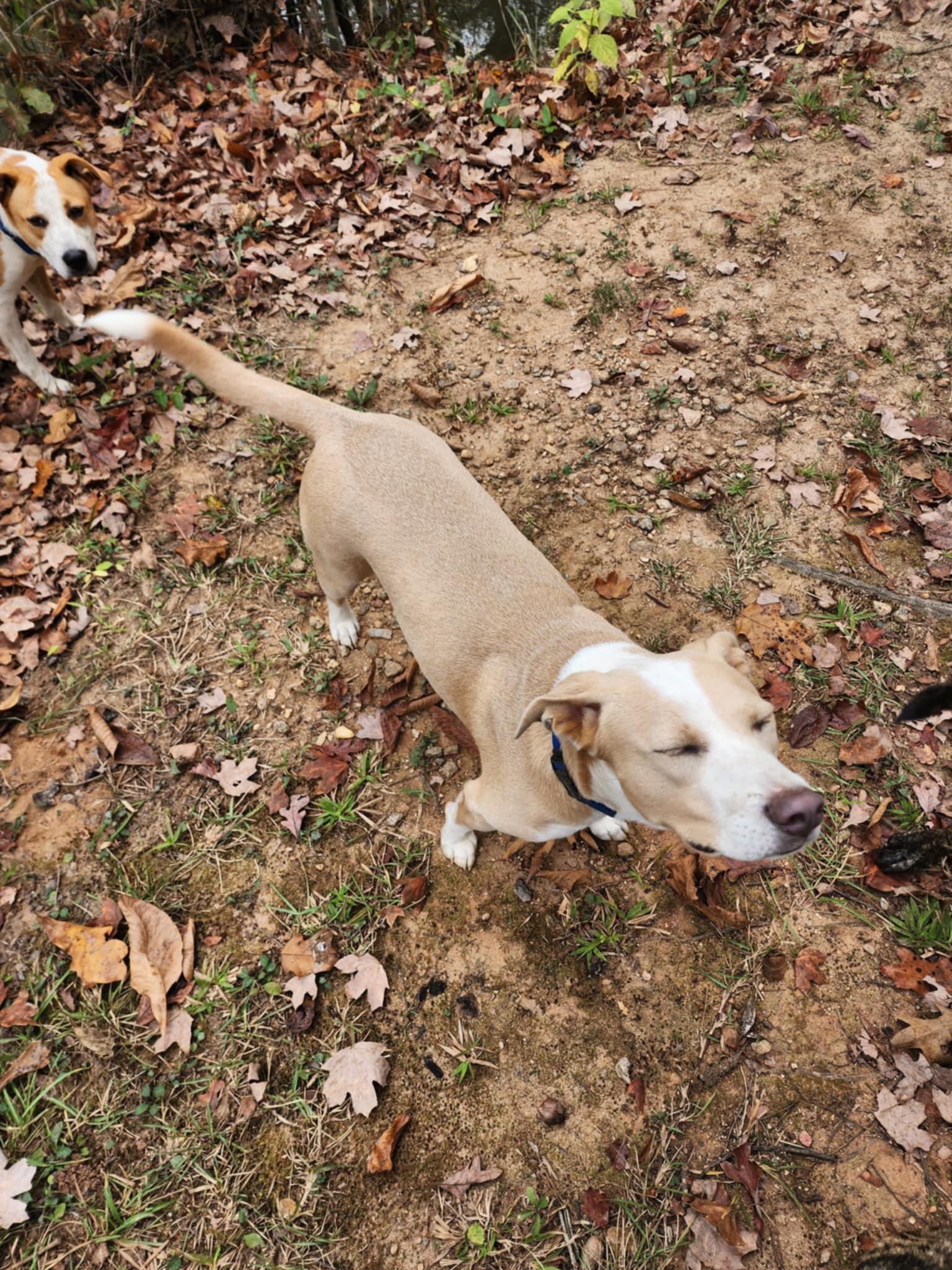 Gretchen thumbnail 4