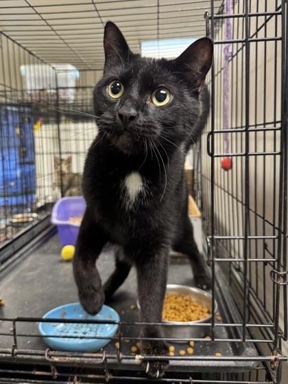 Wyatt — thumbnail 5