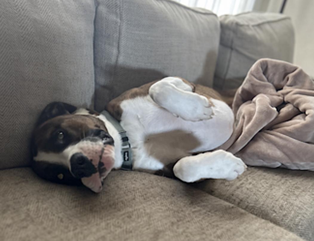 Yuli — thumbnail 2