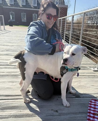 Enlarge Dakota, a Adoptable Mixed Breed in Fairfax, VA image 3/3