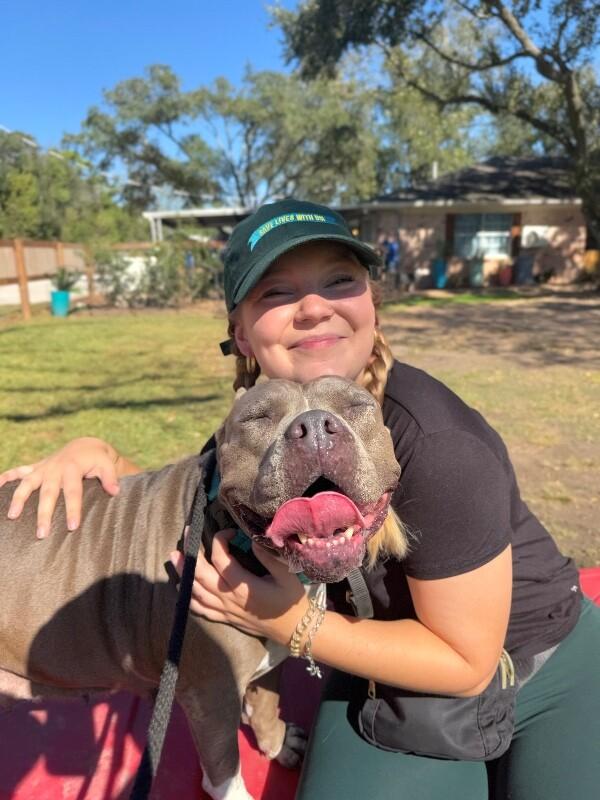 Enlarge Faith Cuddles, a Adoptable mixed breed in Friendswood, TX image 5/6