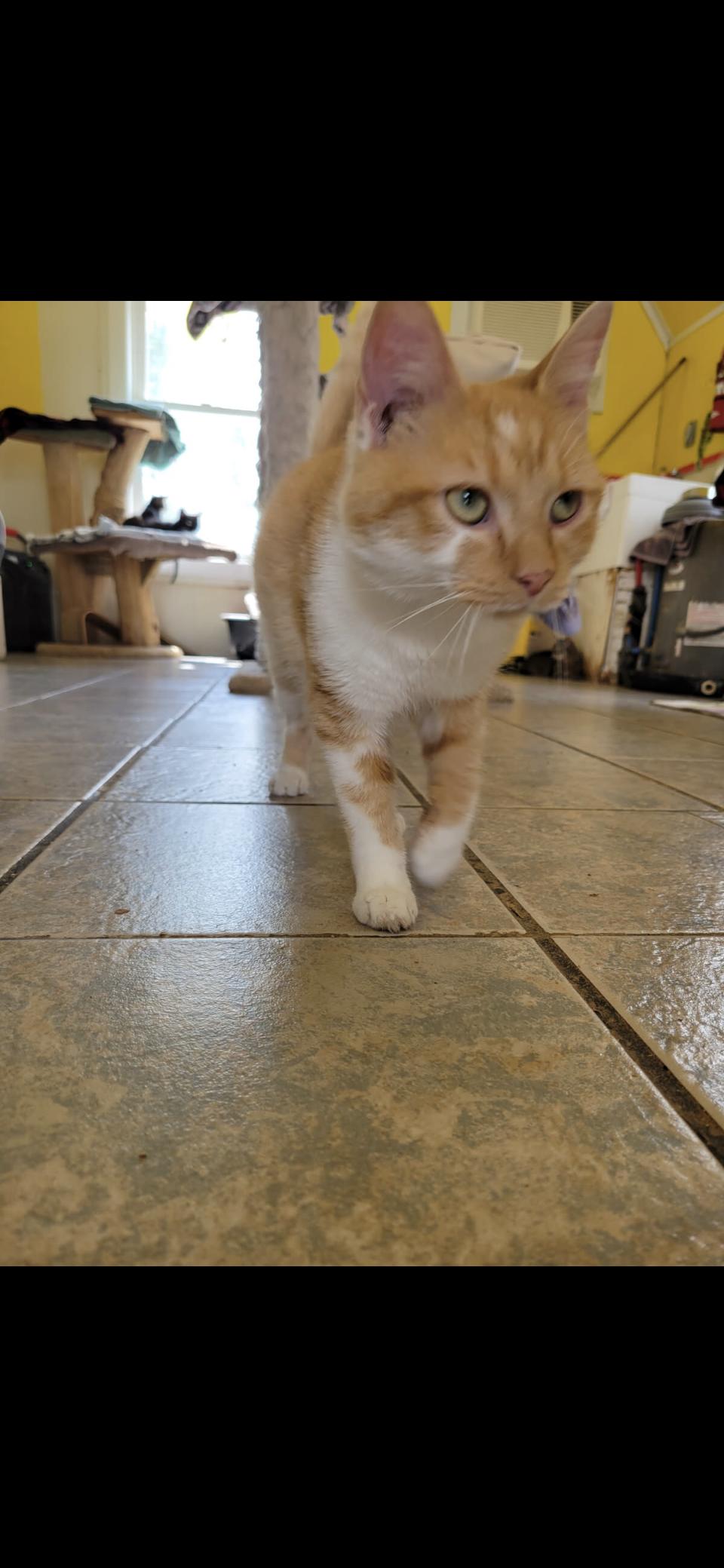 JASPER!