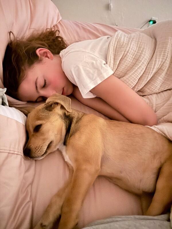 Stella Celestial — thumbnail 3