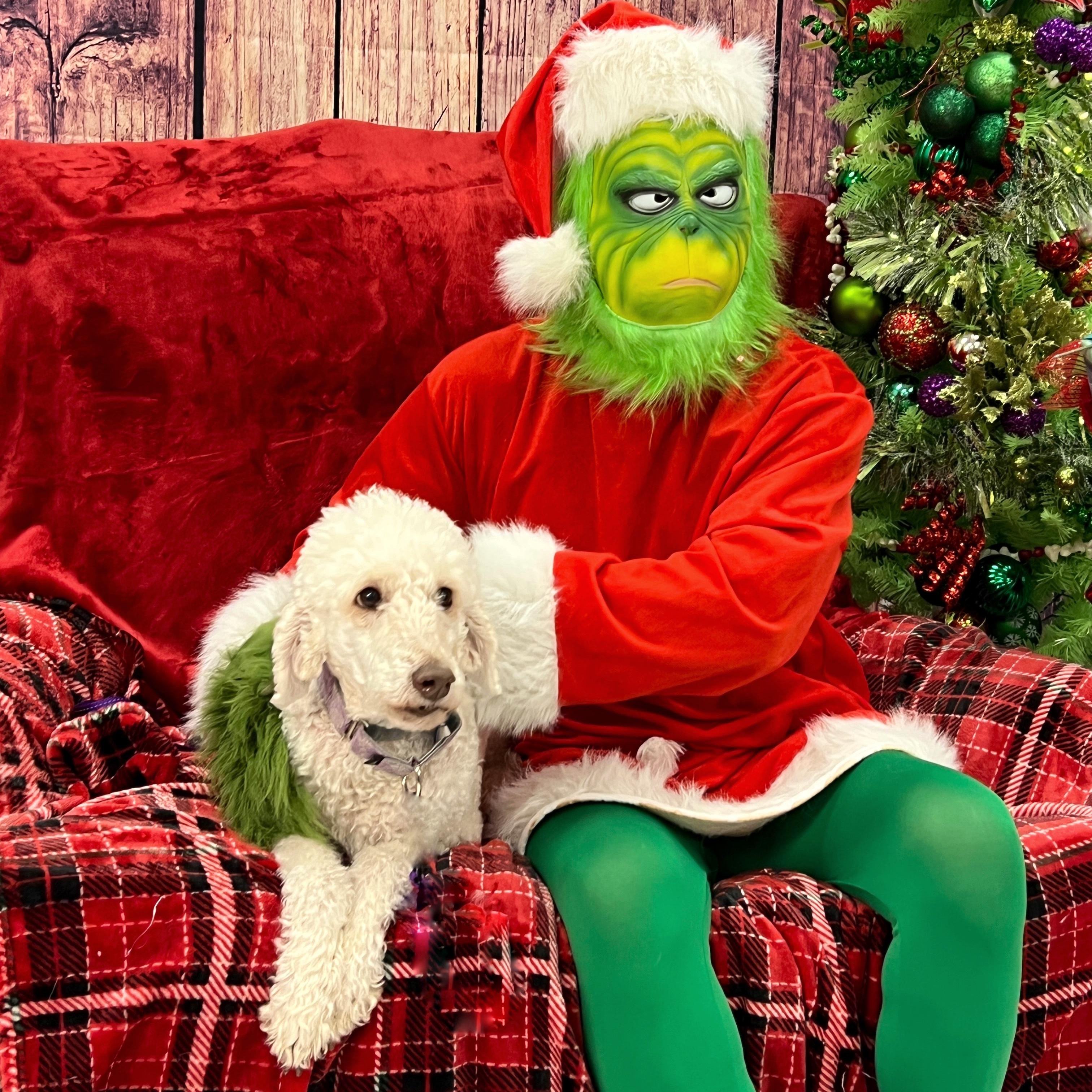 Molly, a ADOPTABLE mixed breed in High Point, NC image 1/2