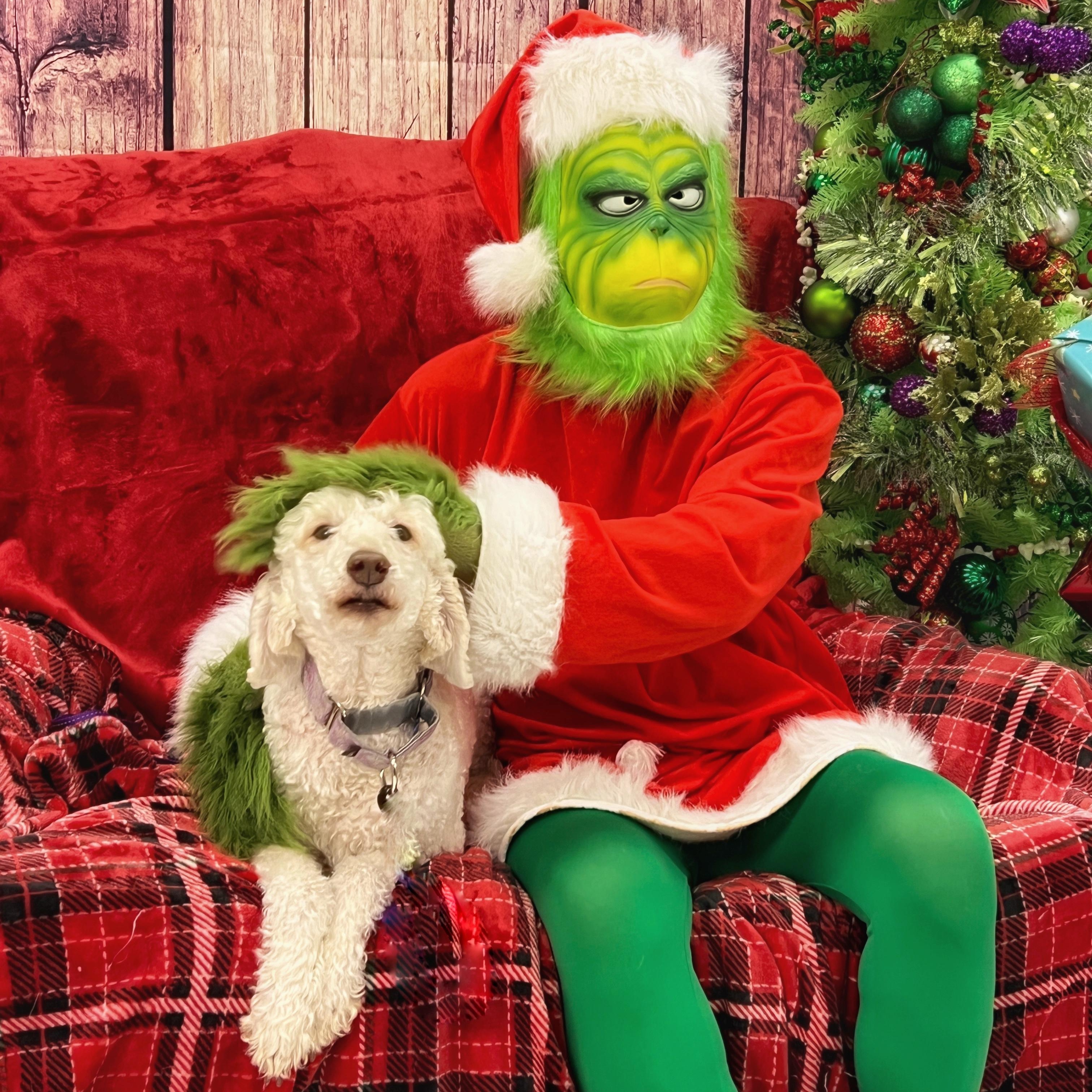 Molly, a ADOPTABLE mixed breed in High Point, NC image 2/2