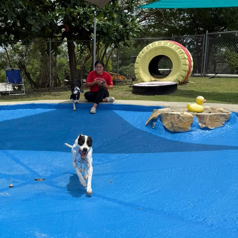 Duri — thumbnail 4