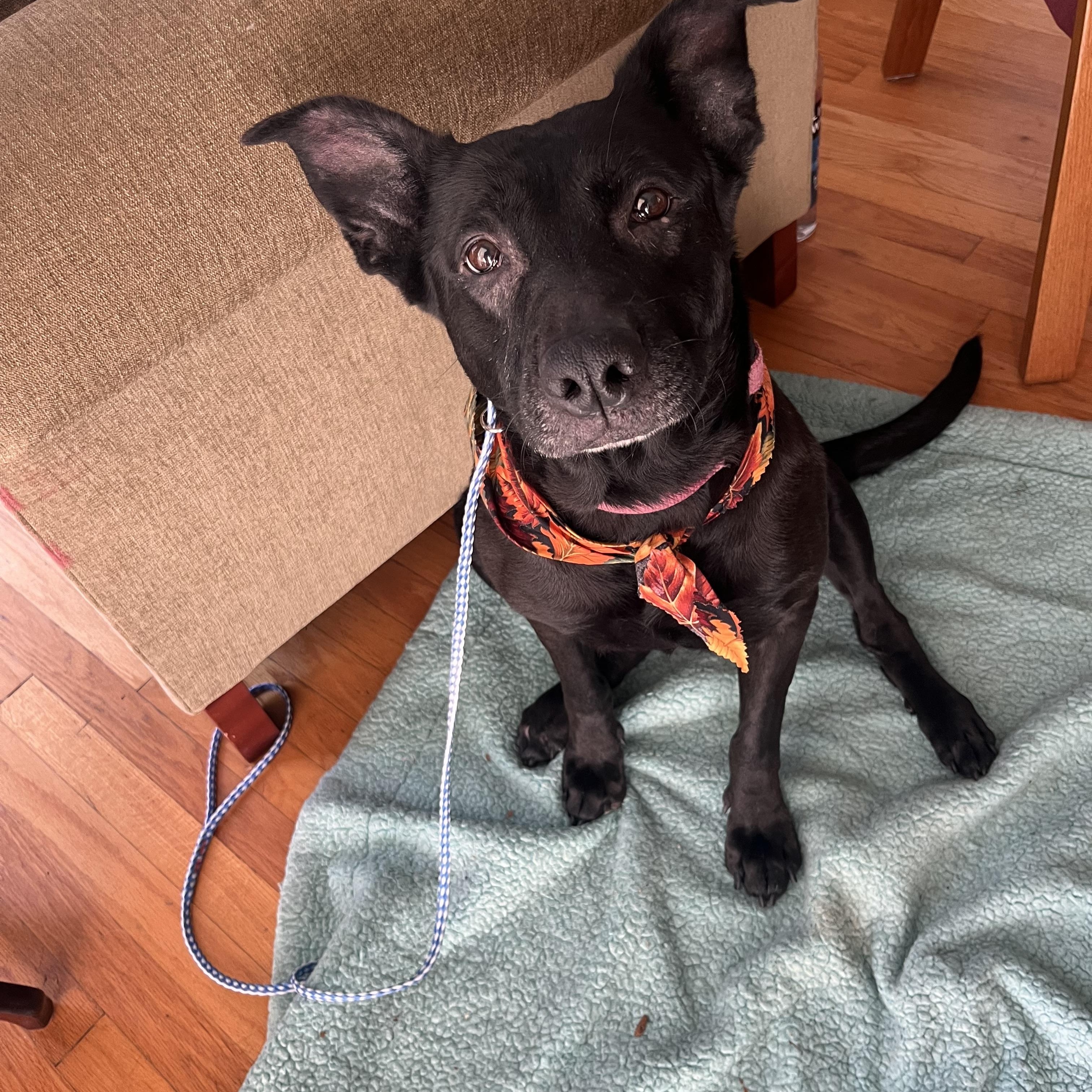 Midnight 0225 — thumbnail 2