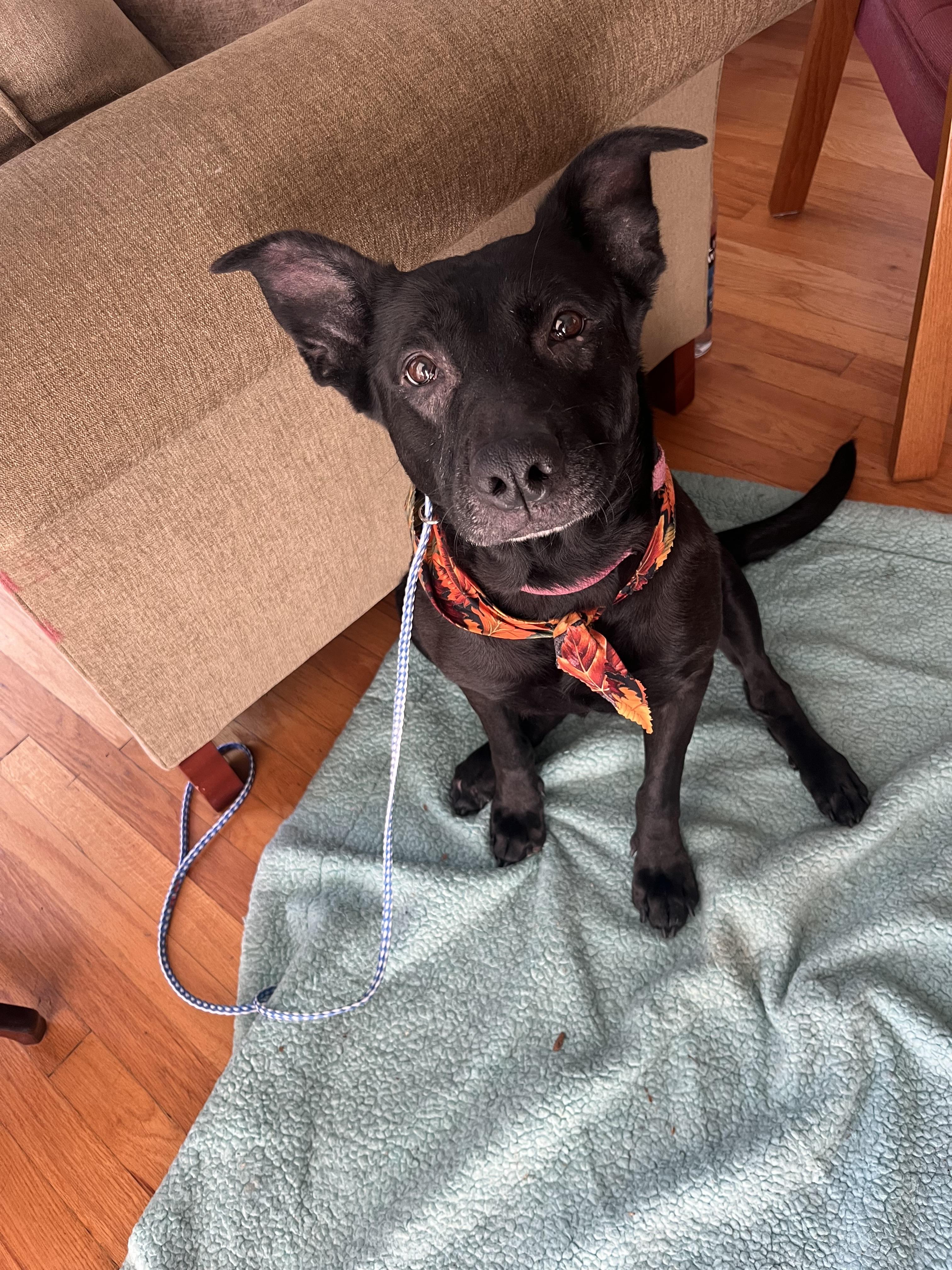 Midnight 0225 — thumbnail 3