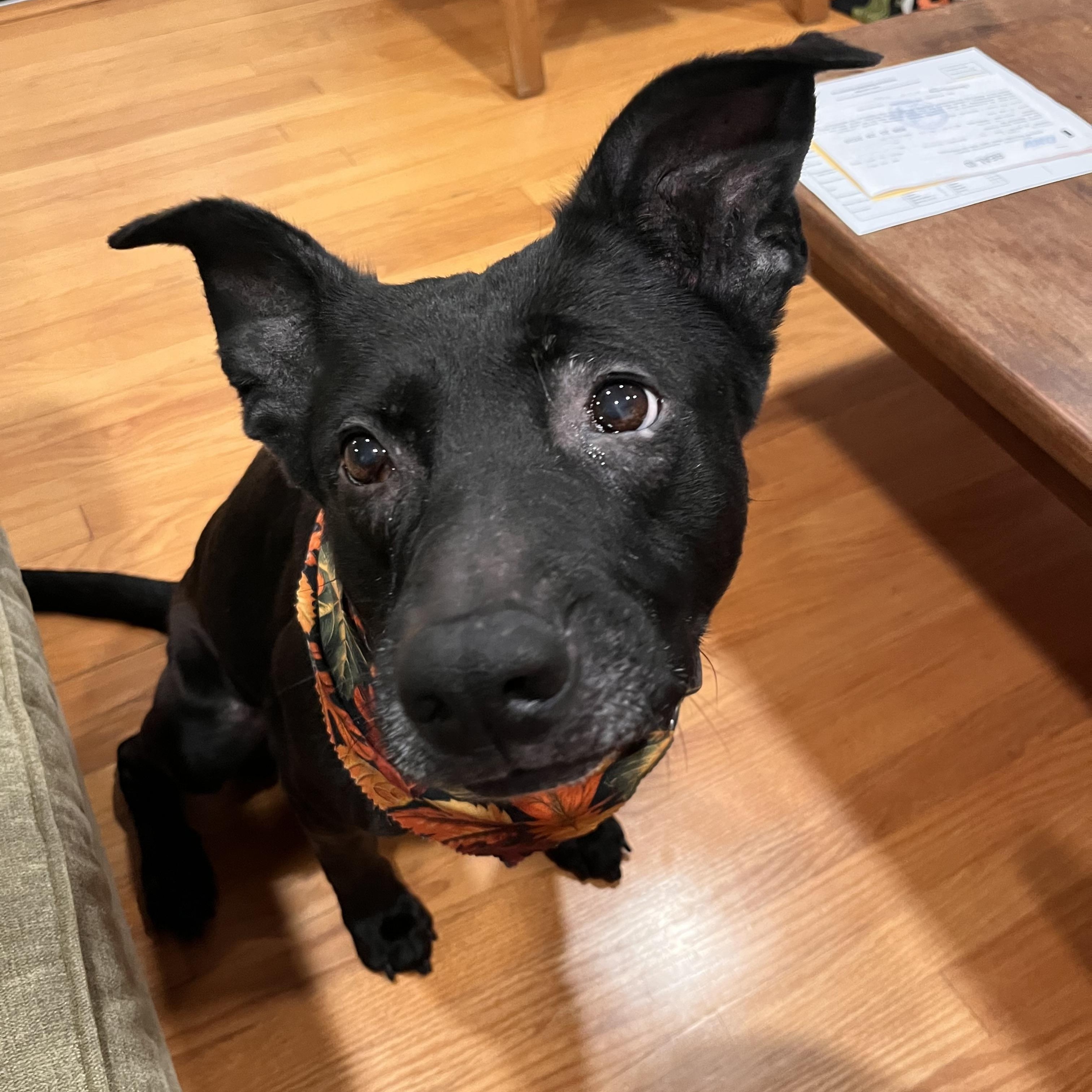 Midnight 0225 — thumbnail 4