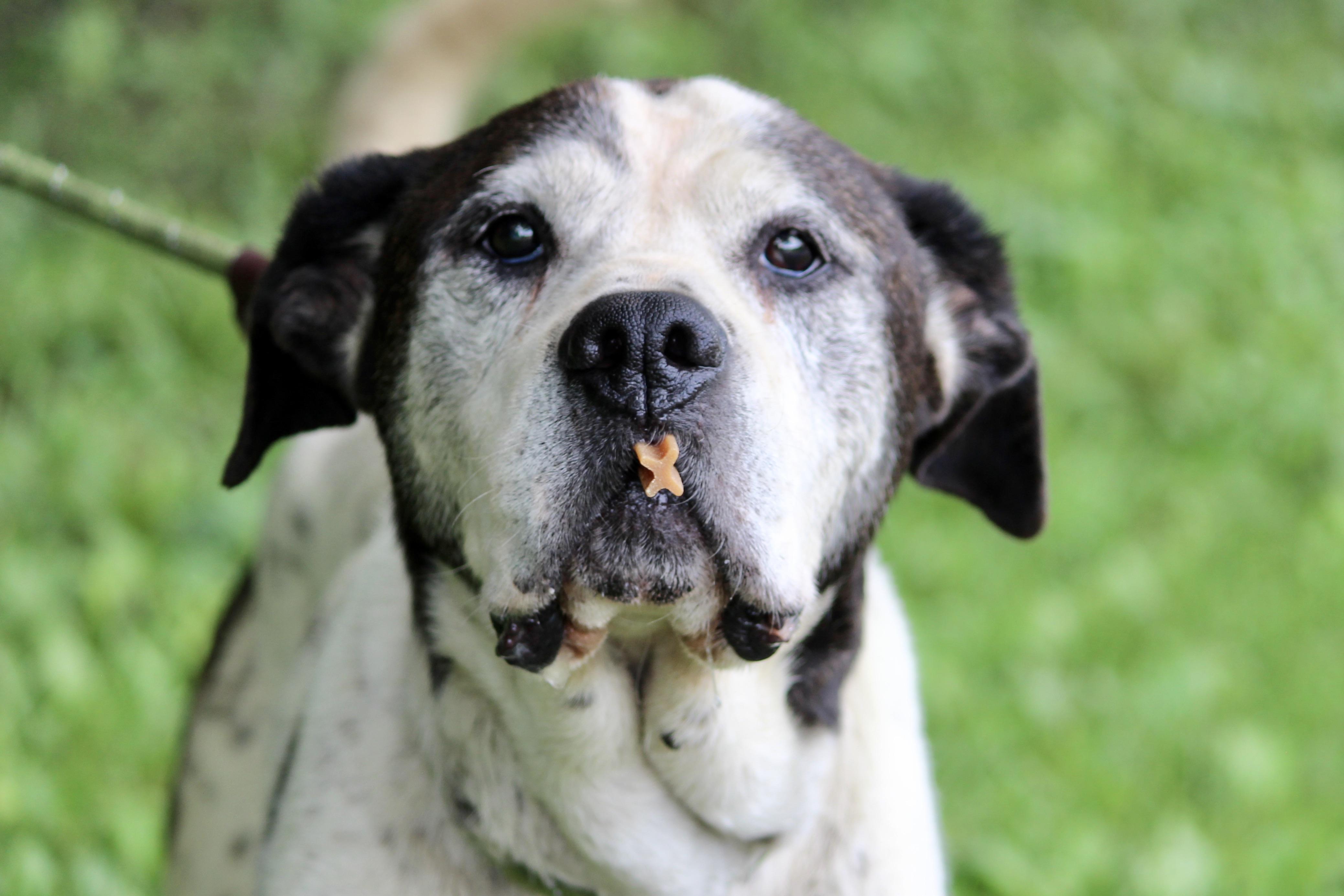 PRINCESS — thumbnail 2