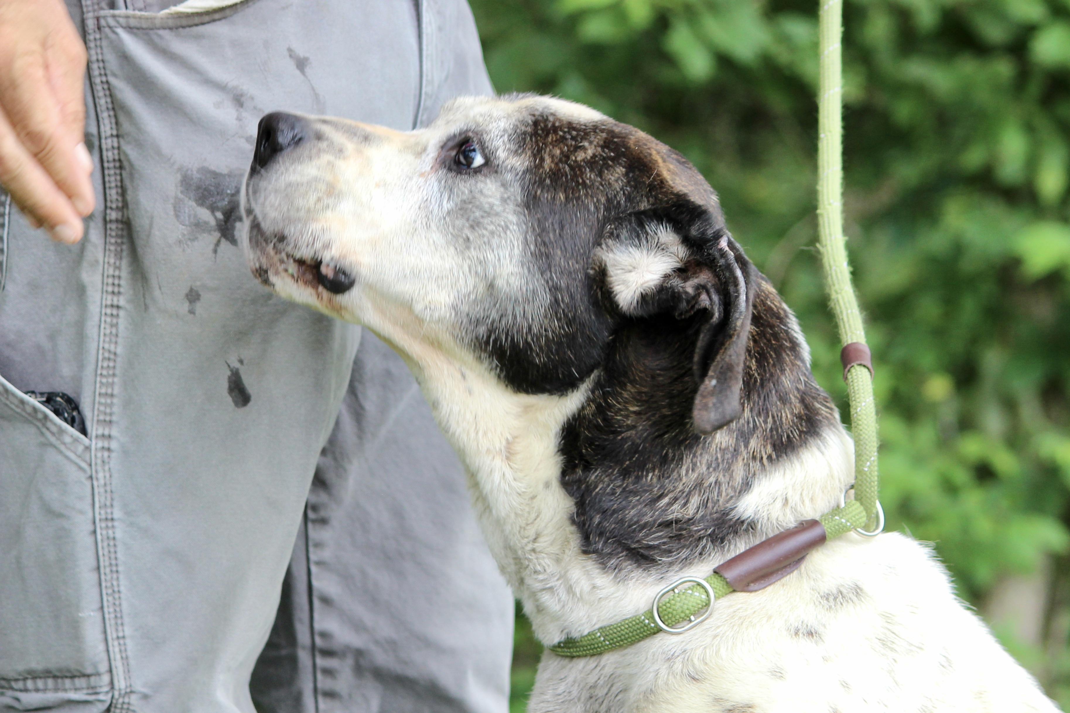 PRINCESS — thumbnail 3