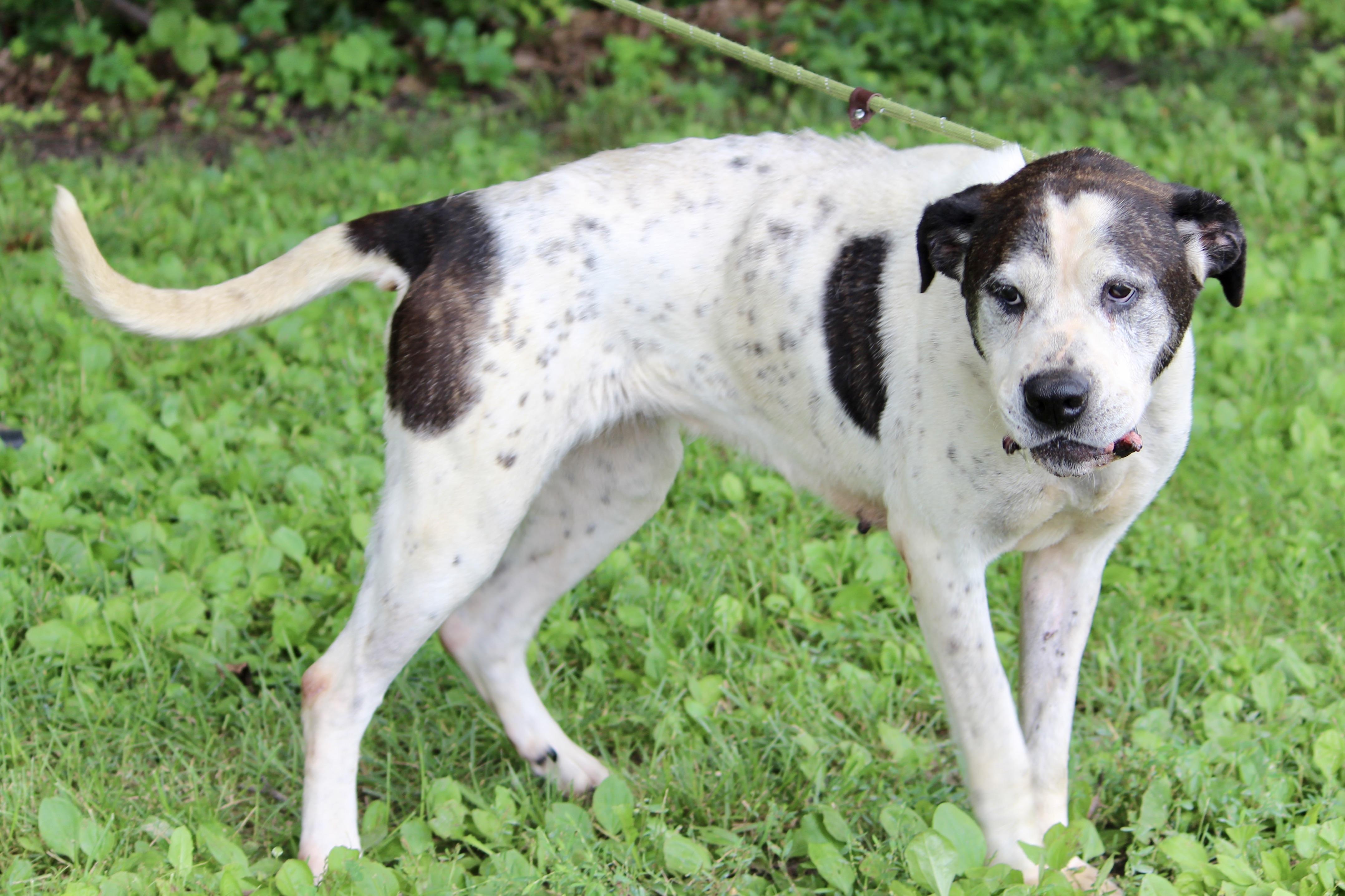 PRINCESS — thumbnail 4