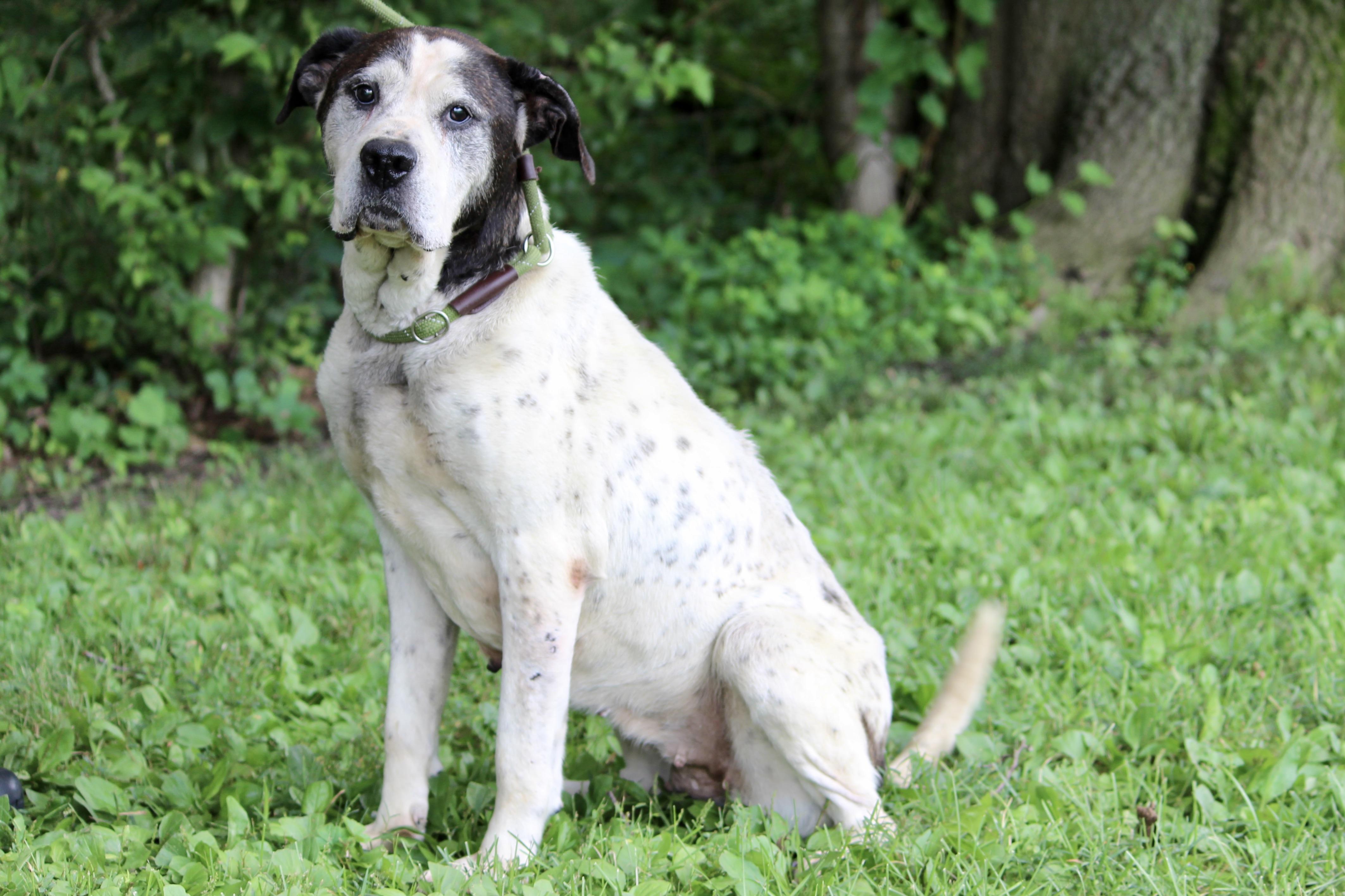 PRINCESS — thumbnail 5