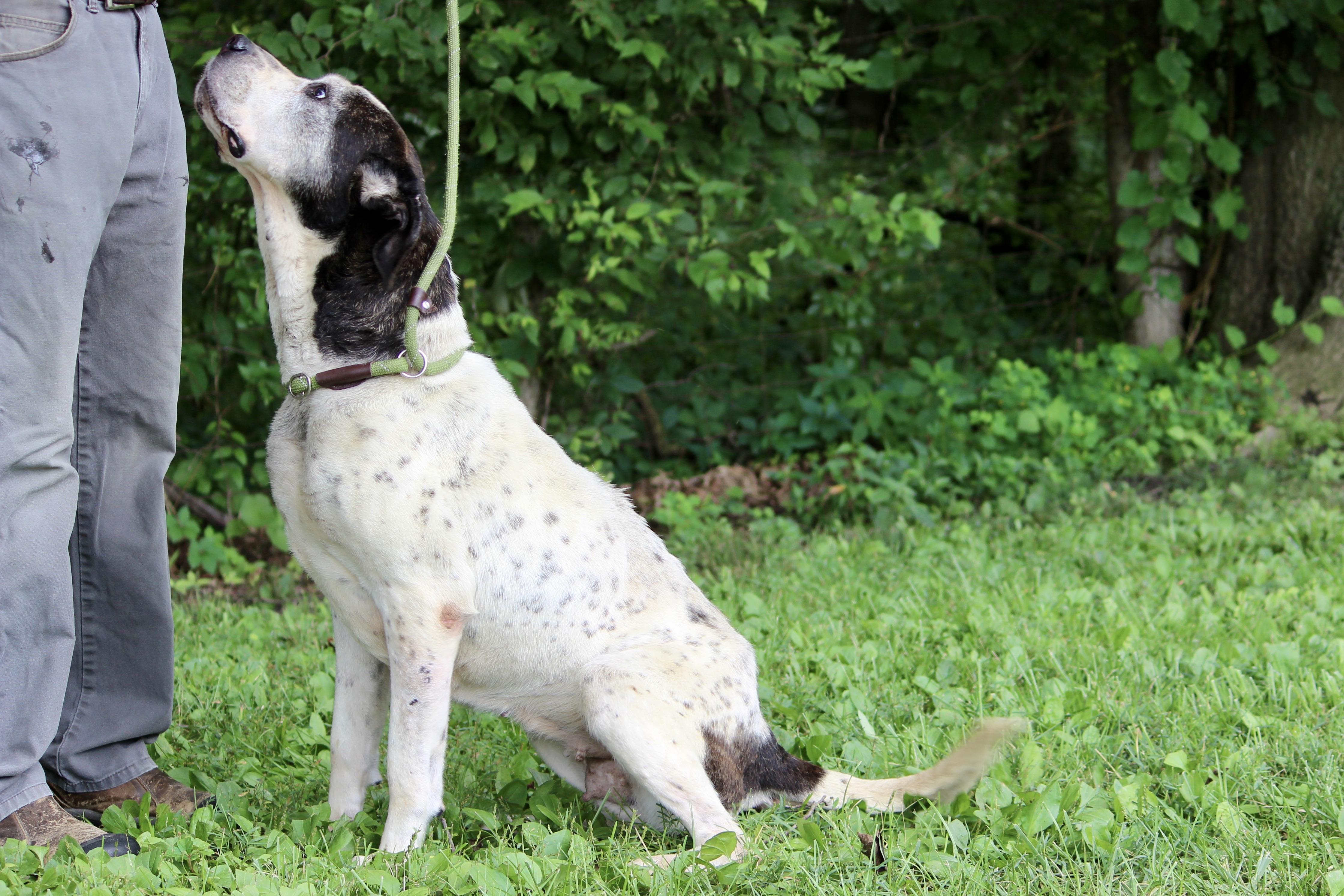 PRINCESS — thumbnail 6