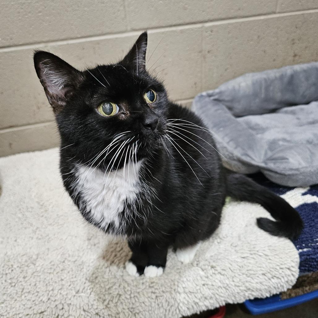 Aurora — thumbnail 2